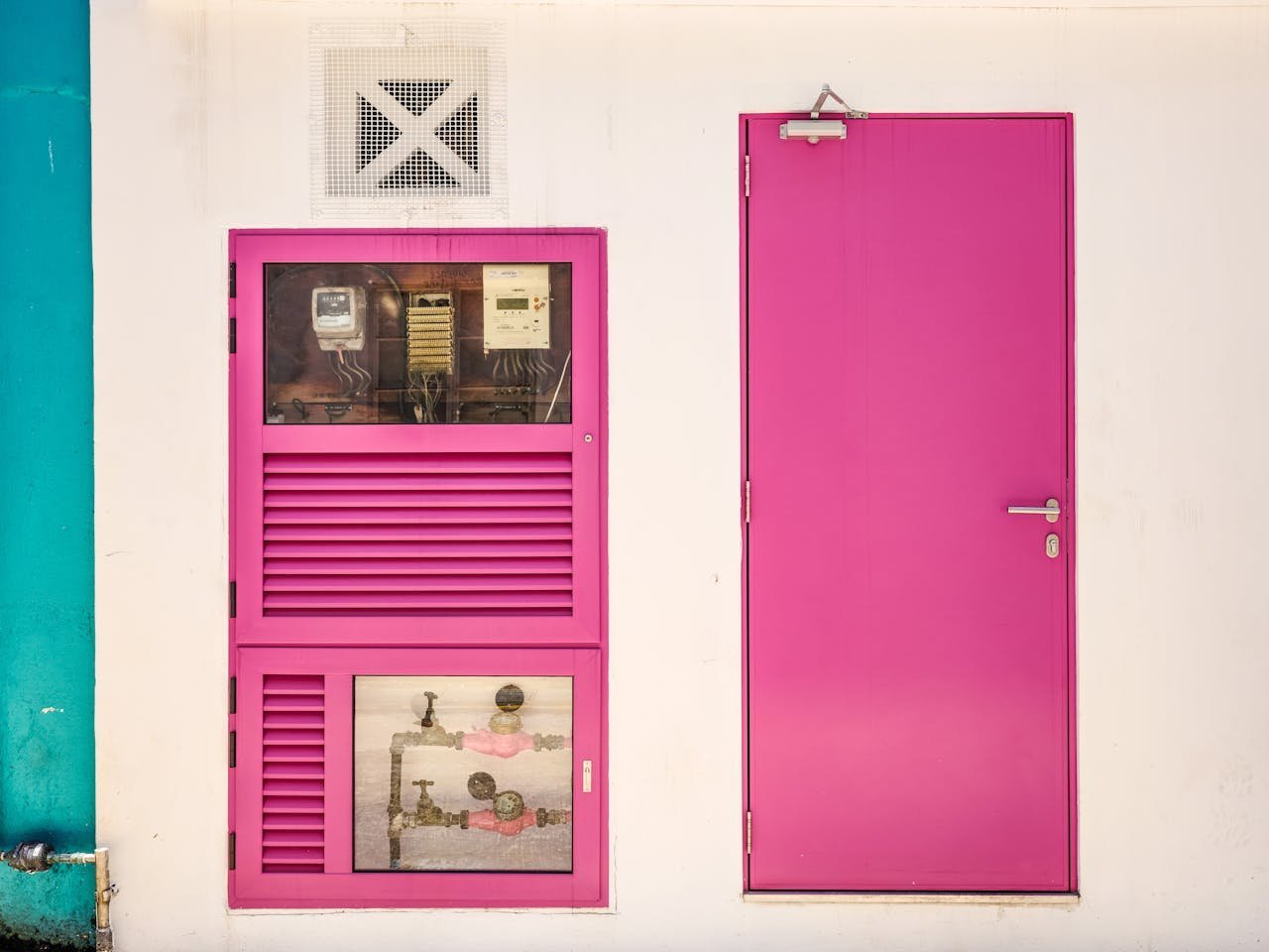 pexels photo 31447002.jpeg